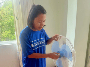burmese-maid-clean-fan
